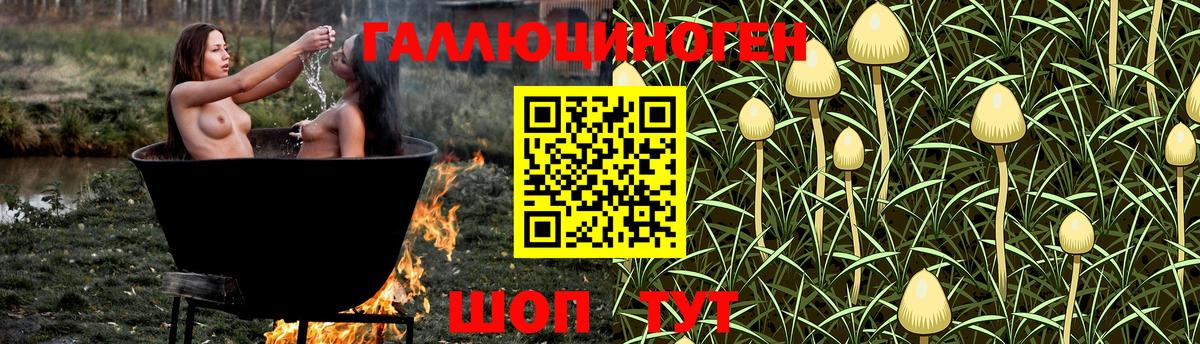 Псилоцибиновые грибы мухоморы  Псилоцибиновые грибы ЛСД  Рубцовск  Вход с VPN 